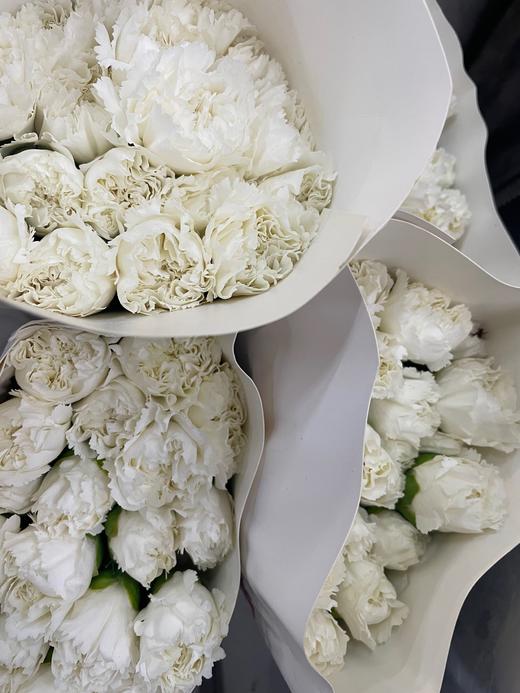 【国产康乃馨】（纯白色）18-20枝/扎 商品图3