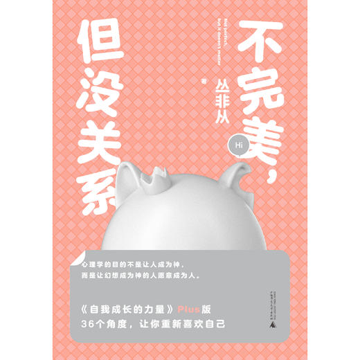 不完美，但没关系 商品图1