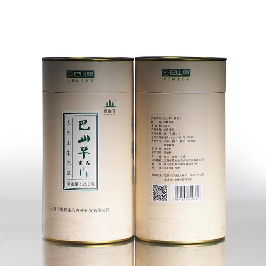 巴山早2024新茶雀舌绿茶250g罐装高山云雾茶清香型茶叶硒茶自己喝茶园直销 商品图5