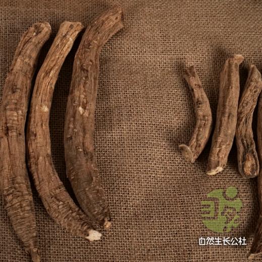 野生高原党参 | 合作农友生产，产自四川甘孜雪山高原，生产者：李建程 &【公平贸易农人定价】 商品图7