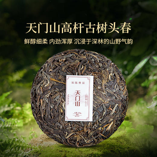 双陈普洱2022年天门山古树春茶普洱生茶茶叶 商品图2