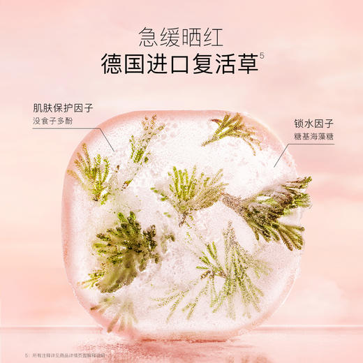 【品牌直发】贝德美bodorme冰川雪融春夏儿童面霜轻薄婴儿宝宝霜25g/50g 商品图3