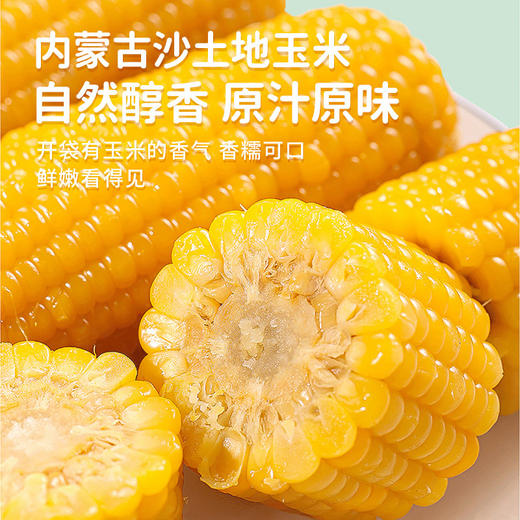 【内蒙古糯玉米】有黄白黑三种玉米可选！口感香甜软糯，好吃又营养！非转基因，热量低，饱腹的健康粗粮！农作物属于天然生长，个头大小会有不同！【NLT-J仓】 商品图1