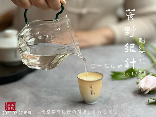 【会员特供】2017荒野银针，悠长岁月的馈赠之物 商品图12