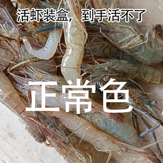 【HFS&2月6日周五送达】生态淡水大河虾  （农户曹燕） 约200g/份 商品图7
