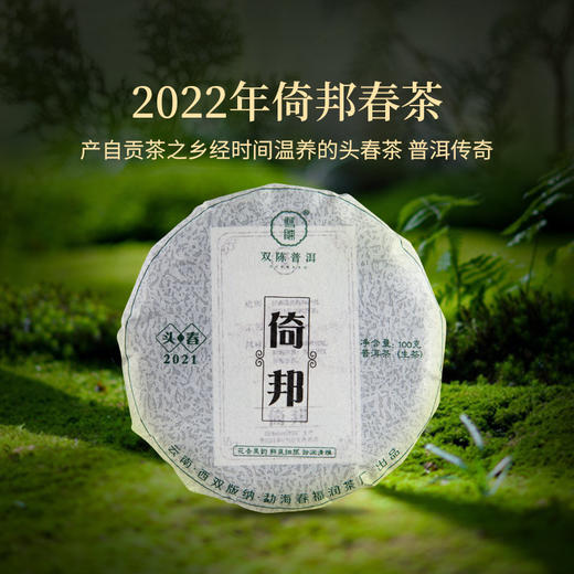 双陈普洱2022年倚邦古树春茶生茶普洱茶茶叶 商品图1