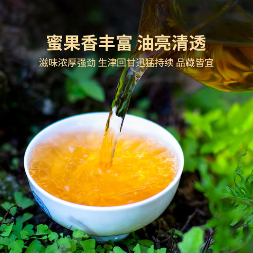 2022年红印圆茶生茶357g饼茶 商品图2