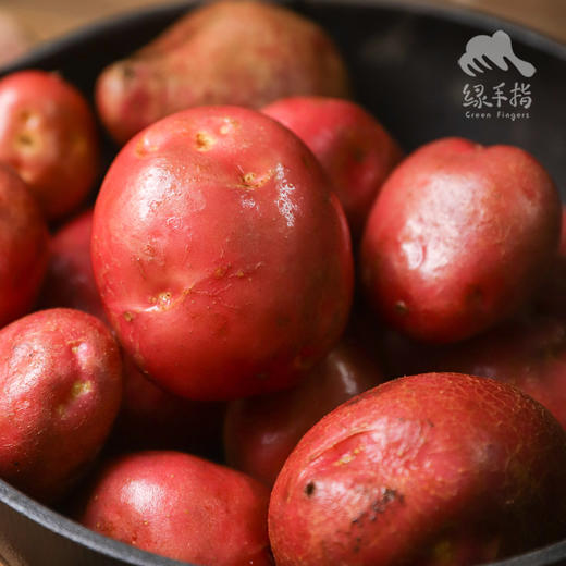 生态云南土豆 （红皮）| 合作生产 *Ecological Potatoes (Red Skin) | Coproduction 商品图4