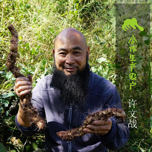 野生山药片  | 合作生产*Wild Yam Tablets | Coproduction 商品图1