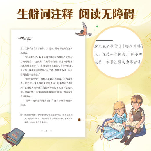 国际儿童文学经典 国际大奖系列6册 商品图5