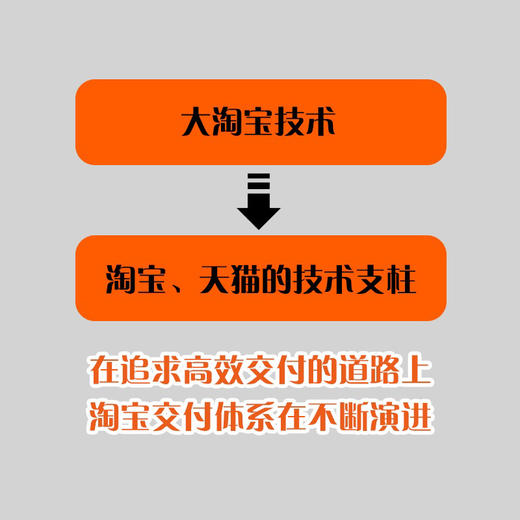 官网 淘宝交付之道 阿里巴巴集团大淘宝技术部 著 汇聚浓缩了淘宝近20年软件交付方法与经验的著作 软件交付方法技术书籍 商品图2