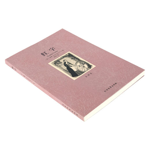 主内文学 —《红字》 世界文学名著 无删节原版原著中文版文 商品图3