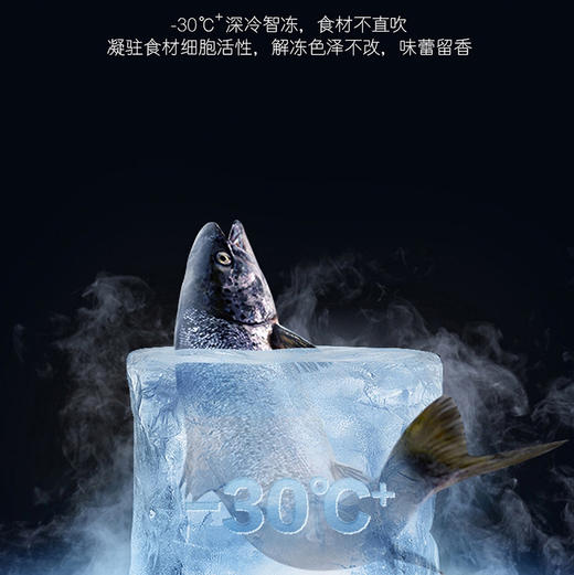 卡萨帝（Casarte）冰箱 BCD-505WGCFDM4WKU1 商品图7