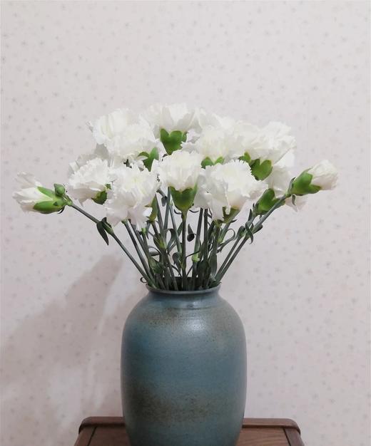 【国产康乃馨】（纯白色）18-20枝/扎 商品图1