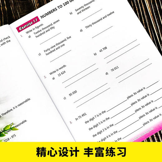 新加坡数学全解4（中+英）全2册 商品图4