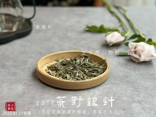 【会员特供】2017荒野银针，悠长岁月的馈赠之物 商品图2