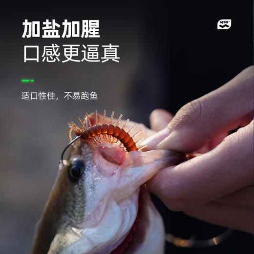 汉鼎路亚假饵软饵仿生蜈蚣软饵 商品图2