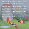 盖世童书【点读版】蜜友 Bees ARE OUR FRIENDS、雨中野餐 A PICNIC IN THE RAIN【只支持小怪兽智能WiFi点读笔点读】 商品缩略图7