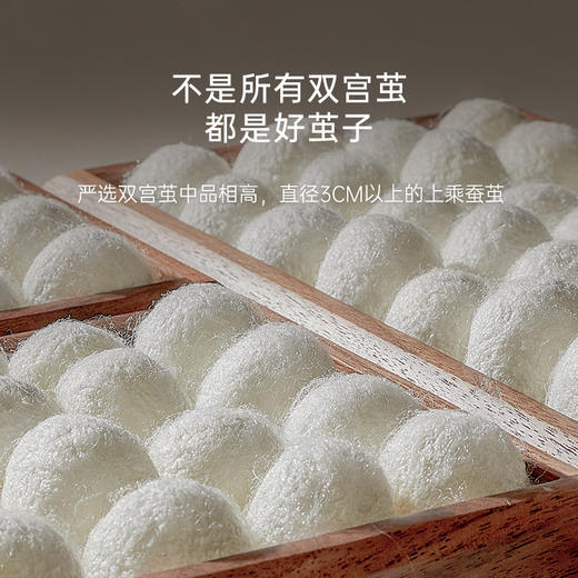 银桑被子蚕丝被 商品图3