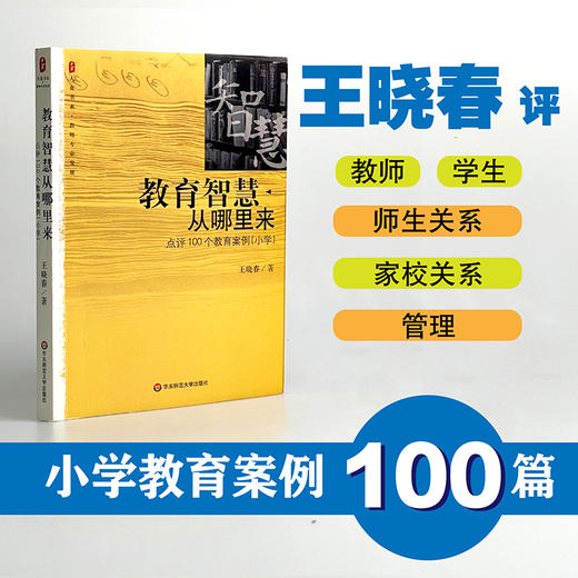 教育智慧从哪里来 点评100个教育案例 大夏书系 小学教师专业发展 商品图0