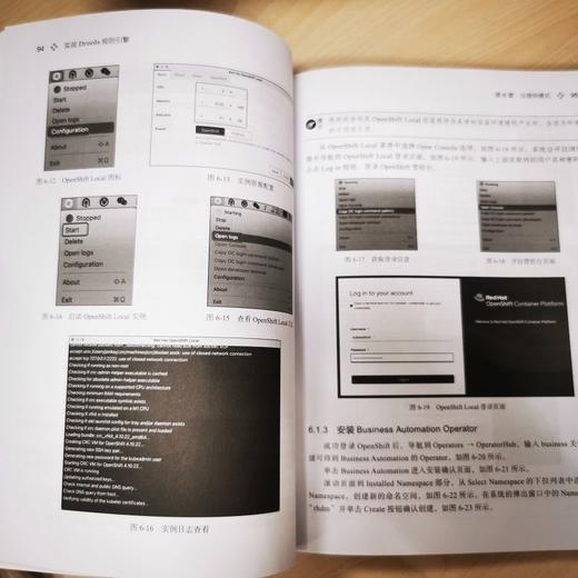 实战Drools规则引擎 商品图1