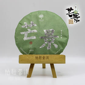 柏联普洱 2023年景迈山 芒景 古树茶生茶 古茶林茶春茶原料 饼茶 紧压茶357g
