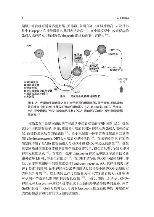 多囊卵巢 代谢综合征和肥胖 阮祥燕主译 预防诊断治疗PCOS患者妇科癌症妇科内分泌疾病 女性生殖功能 人民卫生出版社9787117344289 商品图4
