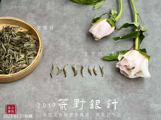 【会员特供】2017荒野银针，悠长岁月的馈赠之物 商品图1