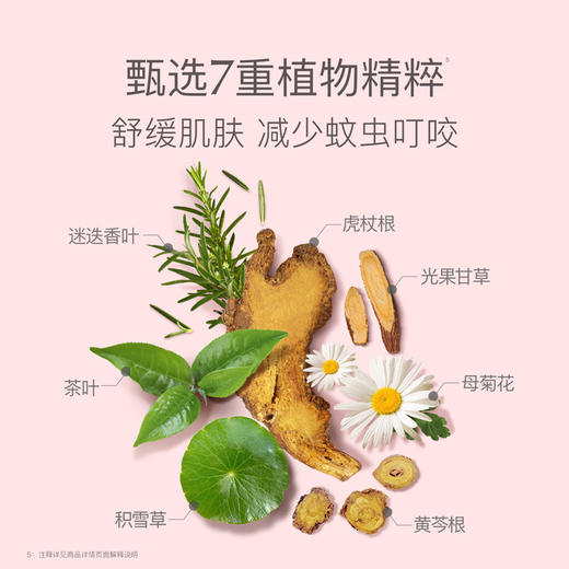 【品牌直发】贝德美bodorme驱蚊喷雾防蚊喷雾驱蚊水随身花露水 商品图3