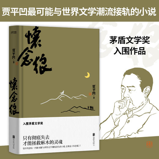 贾平凹命运四书（四册） 商品图3