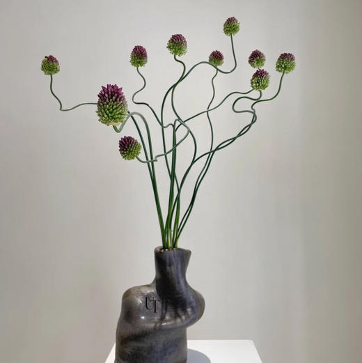 国产花材-【弯葱】 商品图0