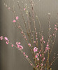 【春枝花】桃花  粉色  扎 商品缩略图0