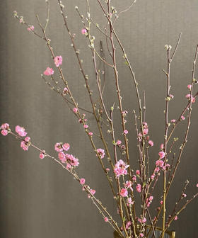 【春枝花】桃花  粉色  扎