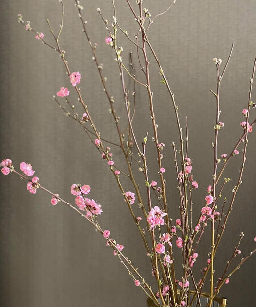 【春枝花】桃花  粉色  扎 商品图0