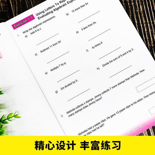 新加坡数学全解6（中+英）全2册 商品图4