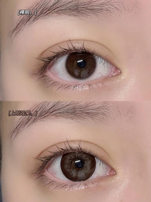 正品月抛 | Dawnsee瞳恩系列新美目棕美瞳 | 直径14.5着色直径13.7 | 新国货 商品图3