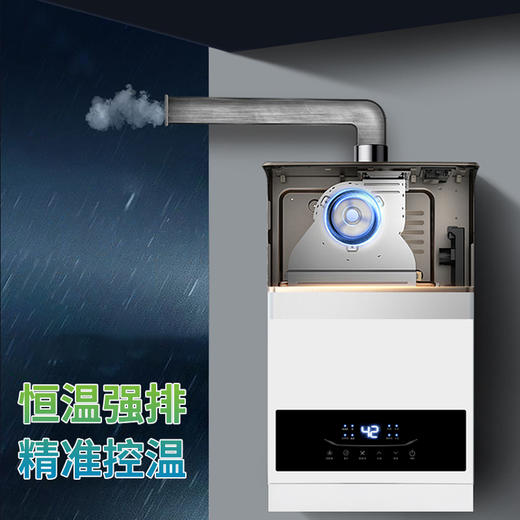 JSQ23-D12 燃气热水器(液化气) 商品图4