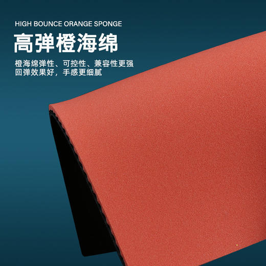 友谊729龙腾系列飞天凌云拍反胶粘涩性弧圈快攻新品 商品图1