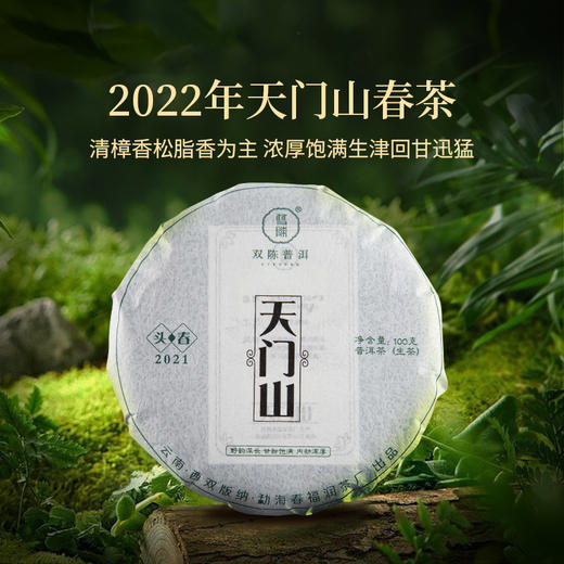 双陈普洱2022年天门山古树春茶普洱生茶茶叶 商品图5
