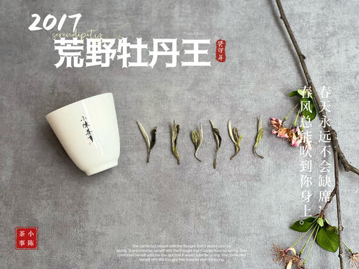 【会员特供】6年陈2017荒野牡丹王香远益清，亭亭静植，时隔多年再次出炉 商品图4