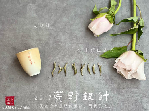 【会员特供】2017荒野银针，悠长岁月的馈赠之物 商品图3