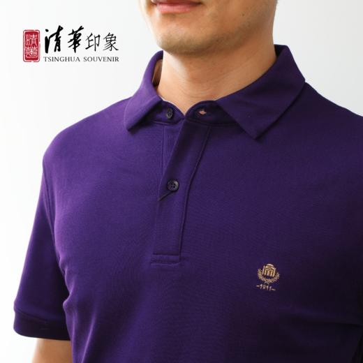 巍然吾校 POLO衫（男款） 商品图1