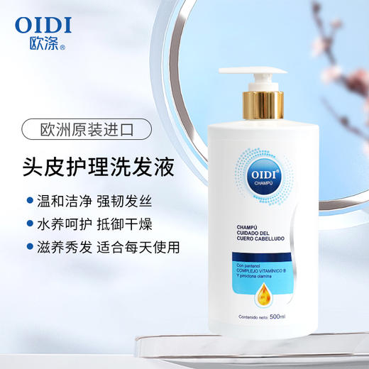 头皮护理洗发液 商品图0