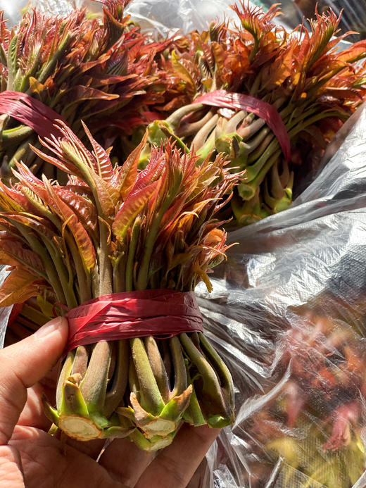 春季限定！陕西秦岭【野生红油香椿】新鲜头茬 细嫩少渣 多汁味甜 香气浓郁 椿中上品！~ 商品图0