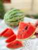 赶在夏天第一口！【4K战神西瓜】瓜肉粉红 纤维少 甜度高 水分足 唇齿生津 超过瘾！ 商品缩略图2