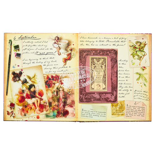 【中商原版】Fairyopolis: A Flower Fairies Journal 花仙子日记 英文儿童童书 商品图7