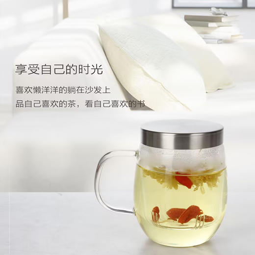 明尚德飘逸玻璃三件套杯耐高温泡茶杯450ml 商品图2