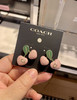 ¥499直邮！Coach粉樱桃🍒耳钉 质感很好👍 商品缩略图1