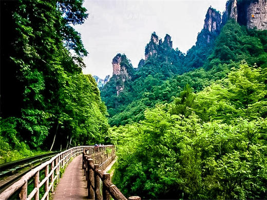 五一4日【湘西张家界】户外深度游-张家界天门山-芙蓉镇-凤凰古城-边城茶峒古镇-矮寨大桥-坐龙峡 商品图4