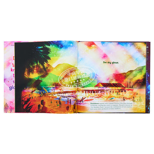 【中商原版】David Litchfield：When the Sky Glows 当天空闪亮 英文原版 精品绘本 儿童故事 Nell Cross Beckerman 4-6岁 商品图7